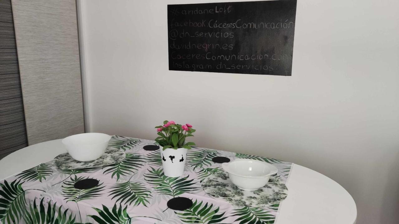 Apartament Aridane Loft Los Llanos De Aridane Zewnętrze zdjęcie
